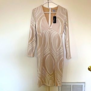 Fashion Nova White dress (Sheer look)